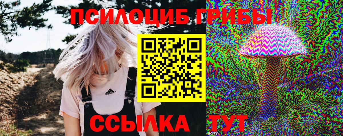Псилоцибиновые грибы Psilocybe  Вход с VPN  магазин продажи наркотиков  Белогорск 